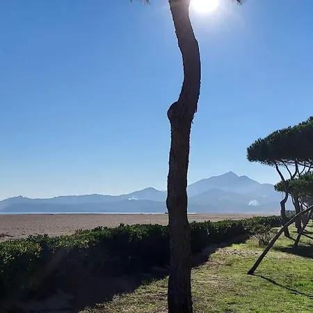 Renove Avec Balcon A 100 M De La Apartment *